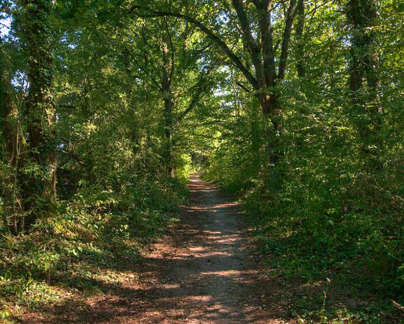 Emmanuel Stourm 2020
Licence Open Data  Mountain biking and horse riding around Dieuze