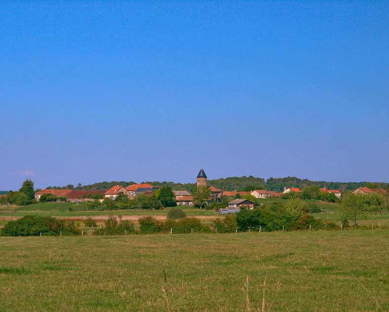 MOUNTAIN BIKING AND HORSE RIDING AROUND DIEUZE