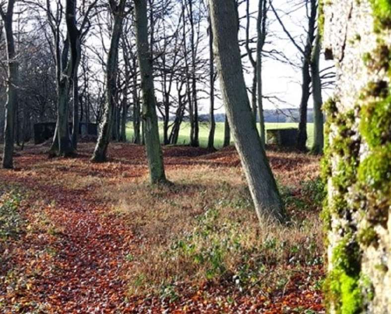 OT Saint-Avold Coeur de Moselle  Aquatic Maginot Line Route