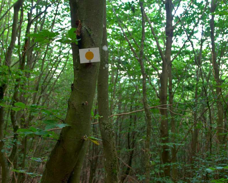 Emmanuel Stourm 2020
Licence Open Data In the shadow of the great Arnsbourg