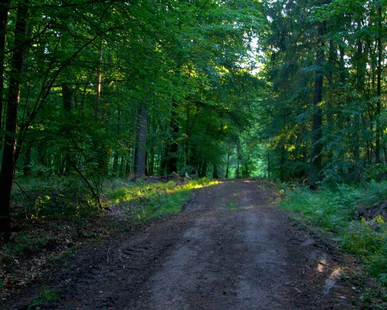 Emmanuel Stourm 2020
Licence Open Data Ponds and lake
