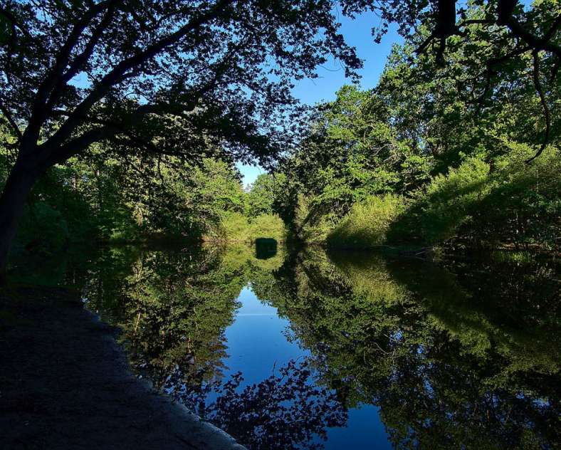 Emmanuel Stourm 2020
Licence Open Data Ponds and lake