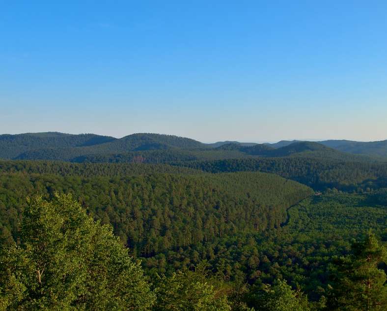 Emmanuel Stourm
Licence Opendata The grand tour of castles