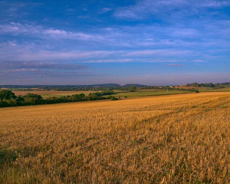 Emmanuel Stourm
Licence Opendata 2020 La fontaine à lion - le chemin des écoliers mountain bike link