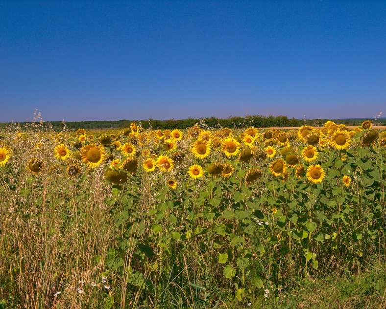 Emmanuel Stourm 2020 Licence Open Data  Link from Flanville to Laquenexy