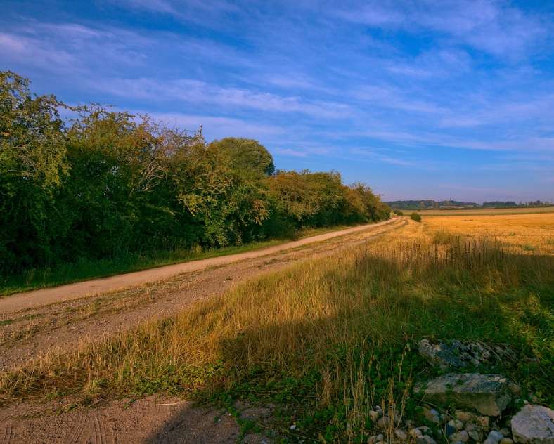 Emmanuel Stourm 2020
Licence OpenData Friendship loop