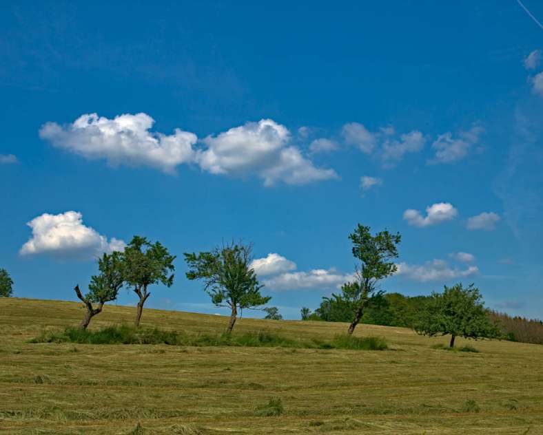 Emmanuel Stourm 2021
Licence Open Data The Udera trail