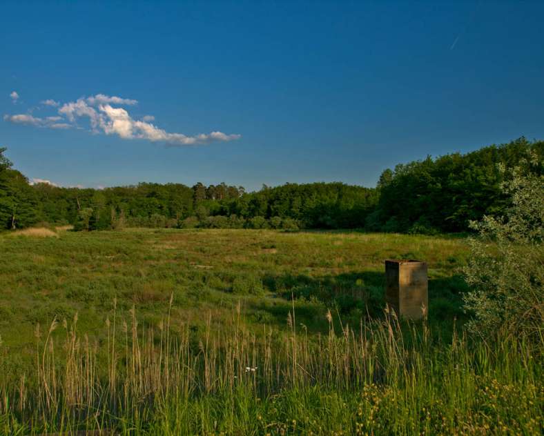 Emmanuel Stourm 2021
Licence OpenData The four lords