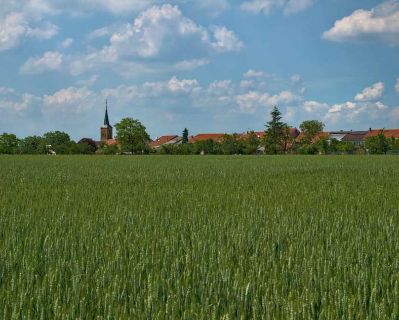 Emmanuel Stourm 2021 
Licence OpenData  The upper Canner valley