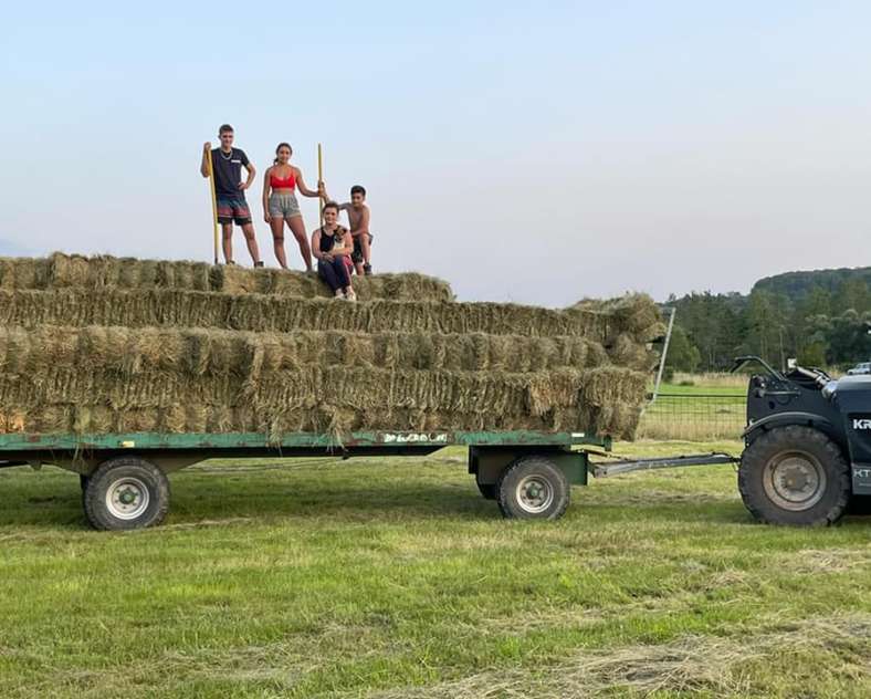 Ferme du Moulin  Ferme du moulin