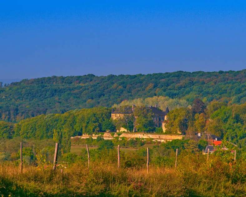 Emmanuel Stourm 2020
Licence Open Data Hombourg-Budange Castle