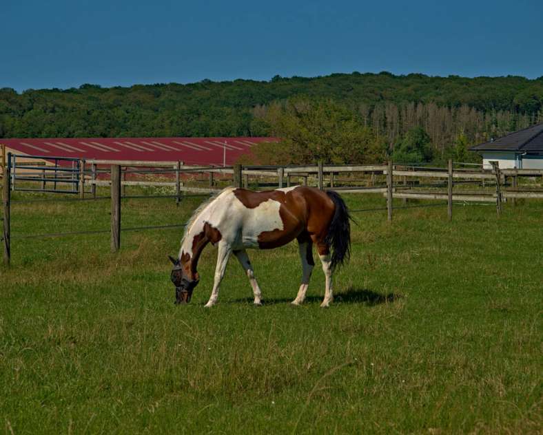 Emmanuel Stourm 2021  Around the mardelles