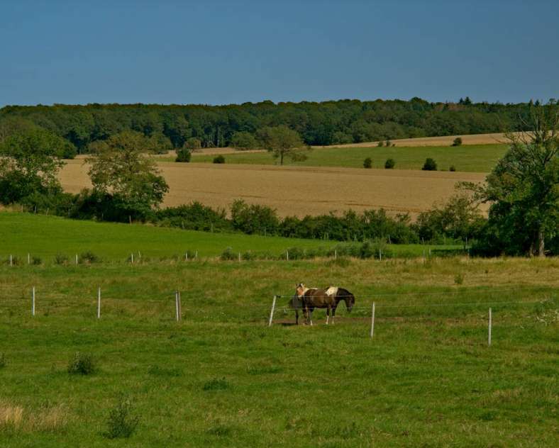 Emmanuel Stourm 2021  Around the mardelles
