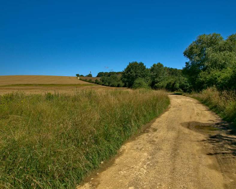 Emmanuel Stourm 2021 Le petelot