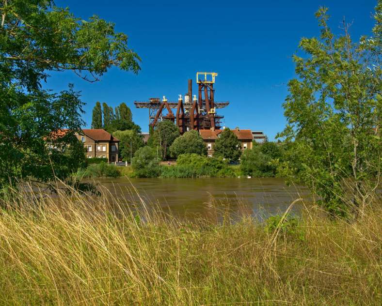 Emmanuel Stourm 2021 Le petelot