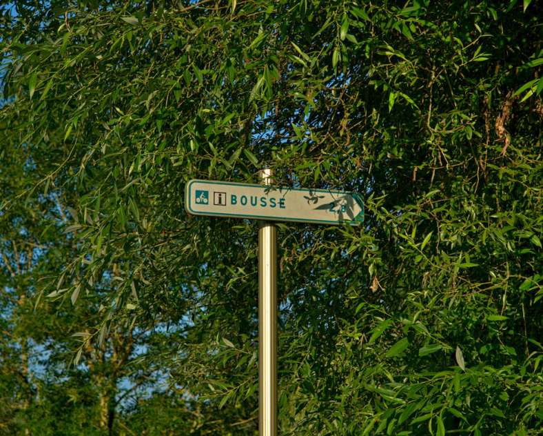 Emmanuel Stourm 2021 Moselle and forest