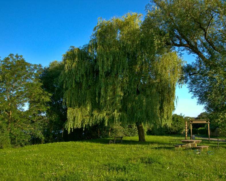 Emmanuel Stourm 2021 Moselle and forest