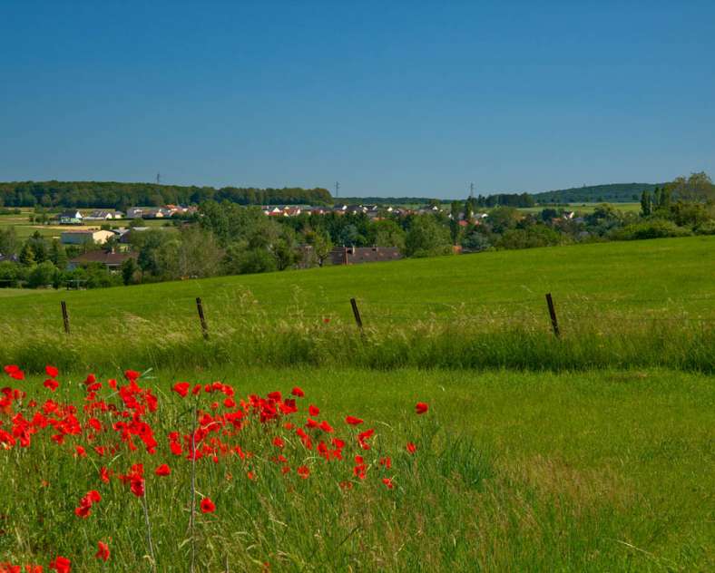 Emmanuel Stourm 2021 In the footsteps of the romans