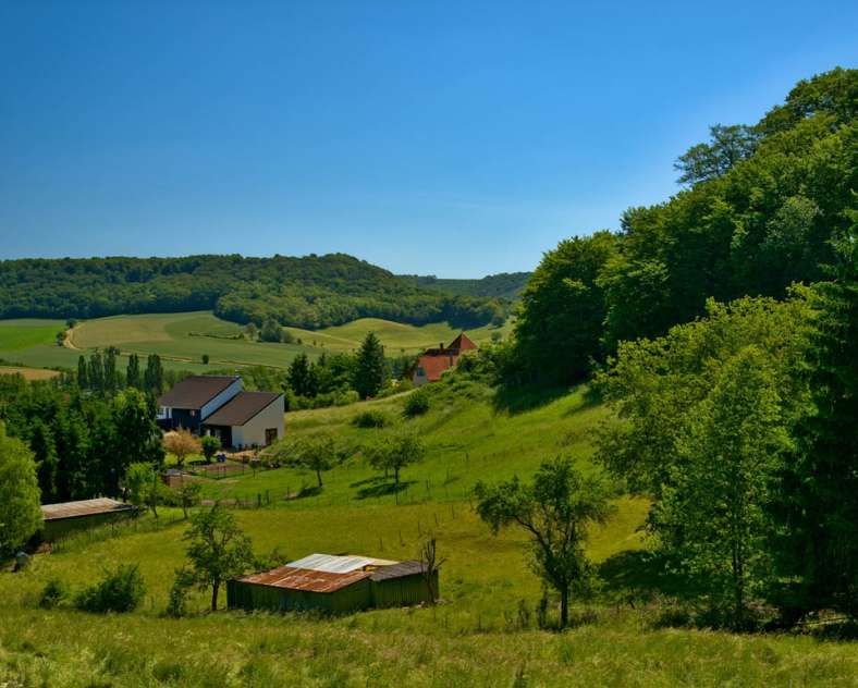 Emmanuel Stourm 2021 Between Bibiche and Canner