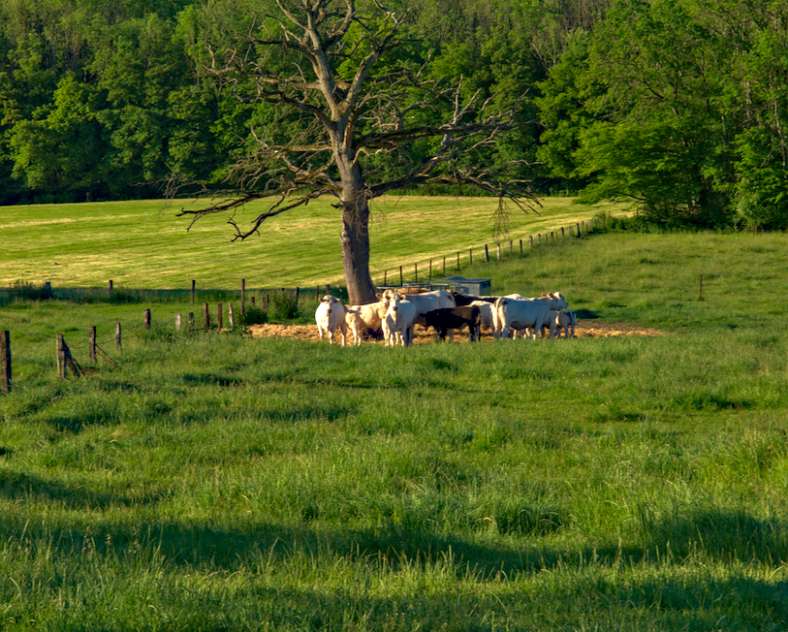 Emmanuel Stourm 2021 Bildstocks Road