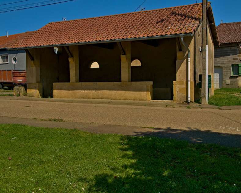 Emmanuel Stourm 2021 The virgin oak