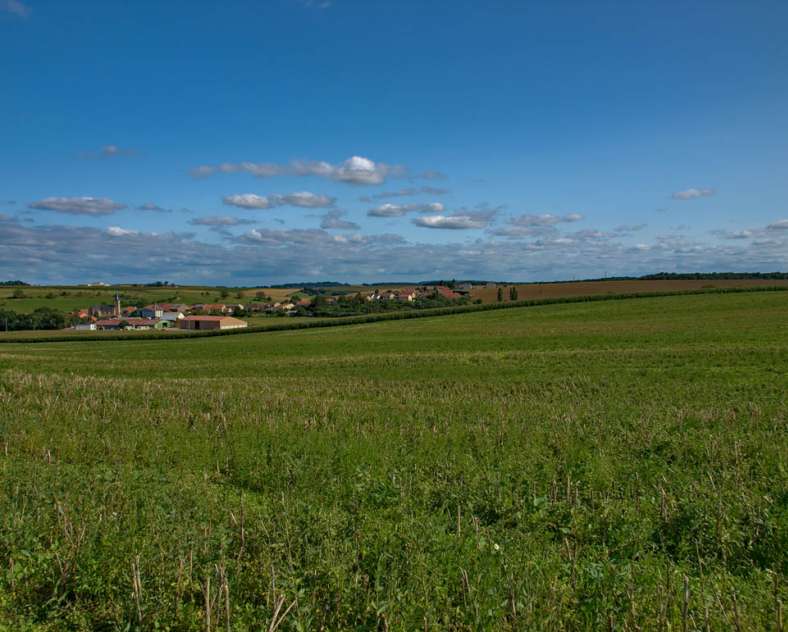 Emmanuel Stourm 2021  Marsal Wood Loop