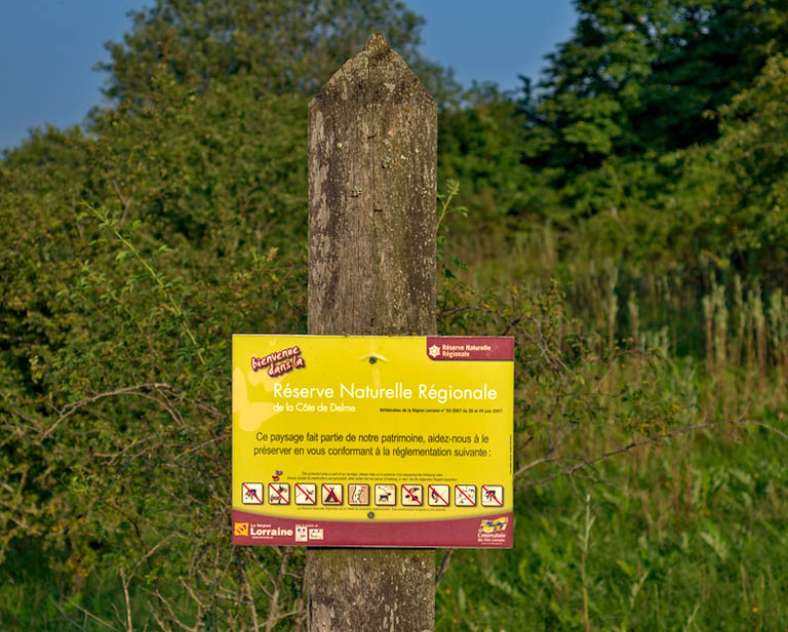 Emmanuel Stourm 2021  Sources of the elme river