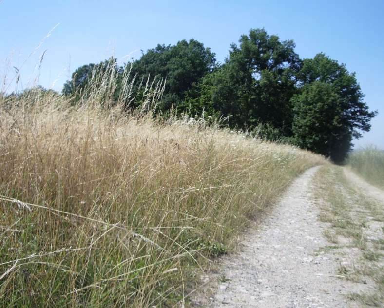 Pays de Forbach Tourisme Circuit cyclable entre Hérapel et Berges de la Rosselle