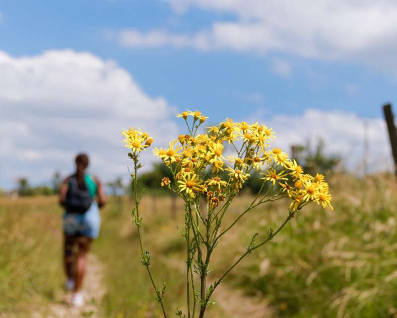 CTurpin_SarregueminesTourisme  The former Bombelles road