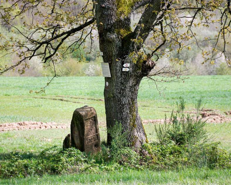 CTurpin_SarregueminesTourisme Through the Ages