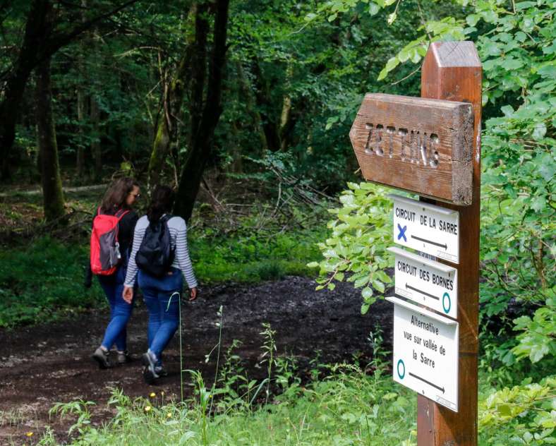 CTurpin_SarregueminesTourisme The Zettingerwald