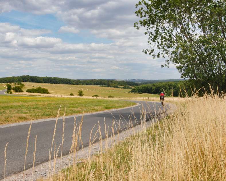 CTurpin - Sarreguemines Tourisme  The Crowned Lion