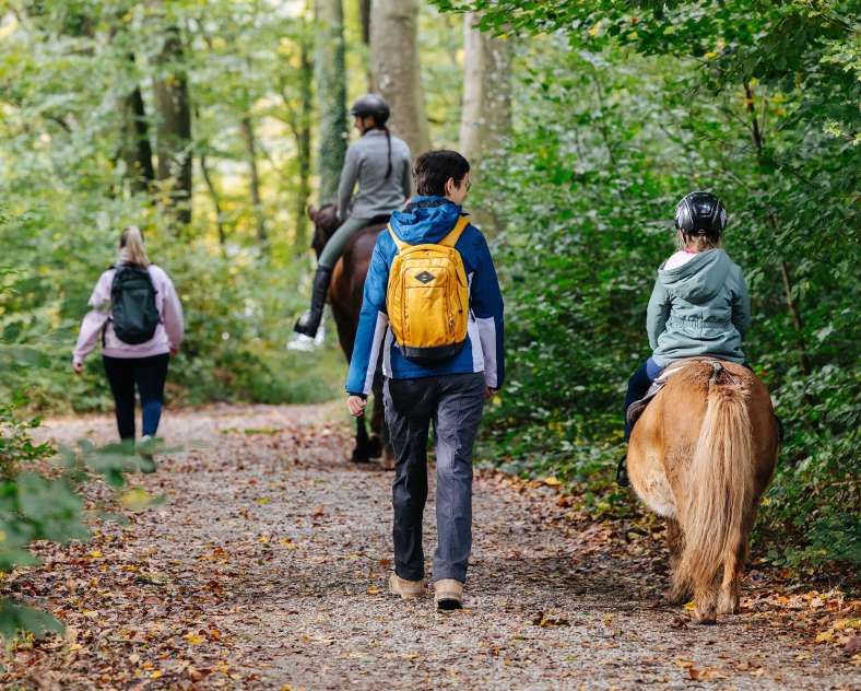 Alex Fabing Production Walk around the Marais-Pond