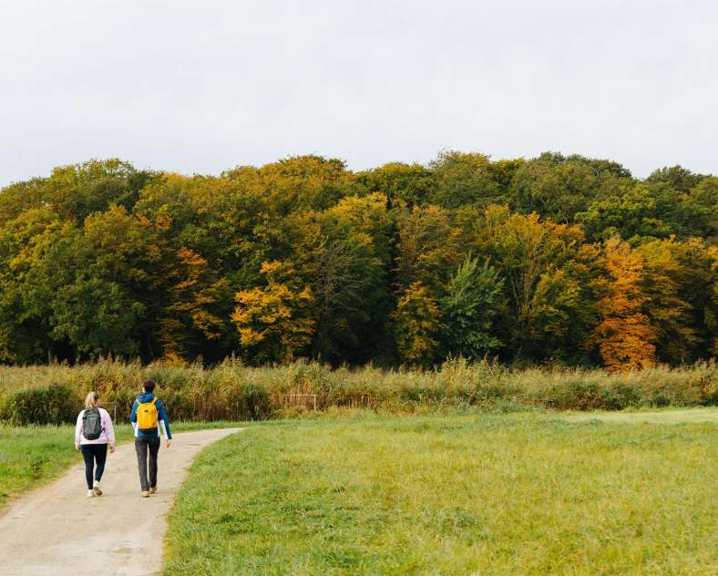 Alex Fabing Production Walk around the Marais-Pond