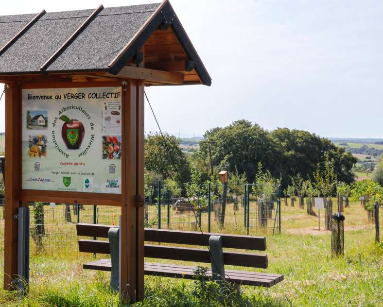 CTurpin - Sarreguemines Tourisme  The Fruit Tree path