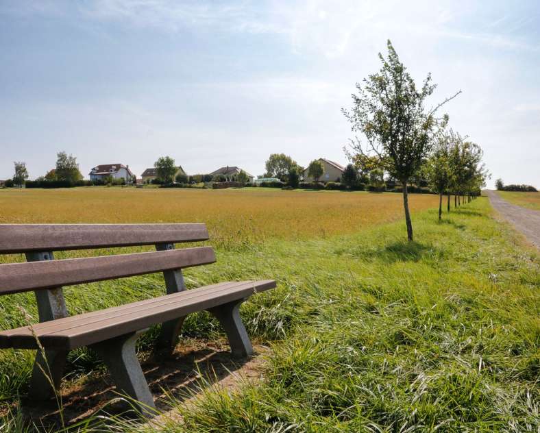 CTurpin - Sarreguemines Tourisme  The Fruit Tree path