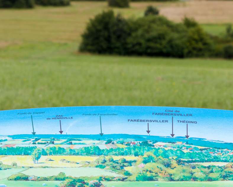 Sarreguemines Tourisme The Reed trail