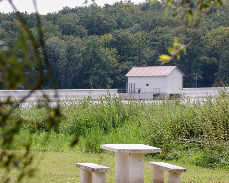 Sarreguemines Tourisme The Reed trail