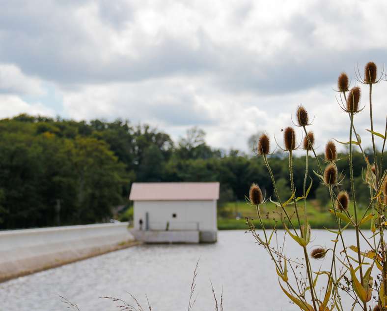 Sarreguemines Tourisme The Reed trail