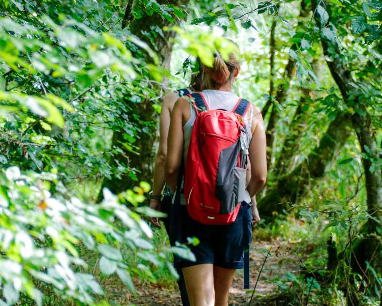 Sarreguemines Tourisme The Reed trail
