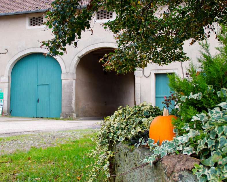 CTurpin_SarregueminesTourisme  From the Farm to the Pastures