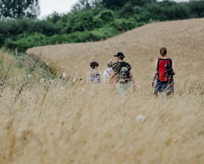 JLauer_SarregueminesTourisme From the Green to the Forest
