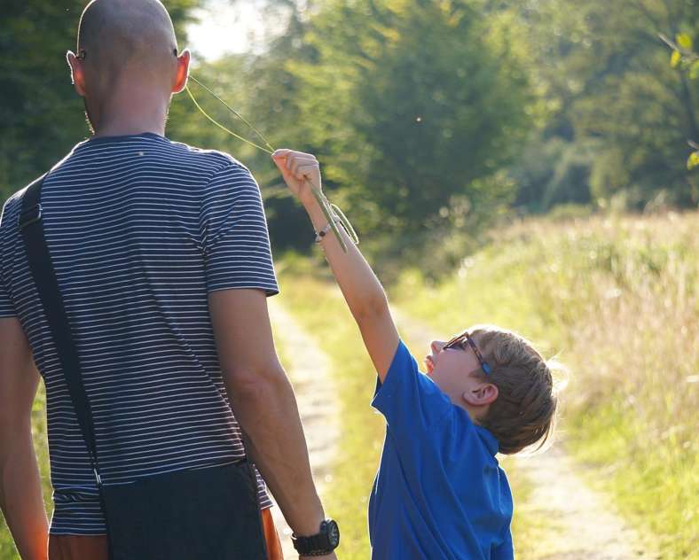 CTurpin_SarregueminesTourisme Bogs and Marshes