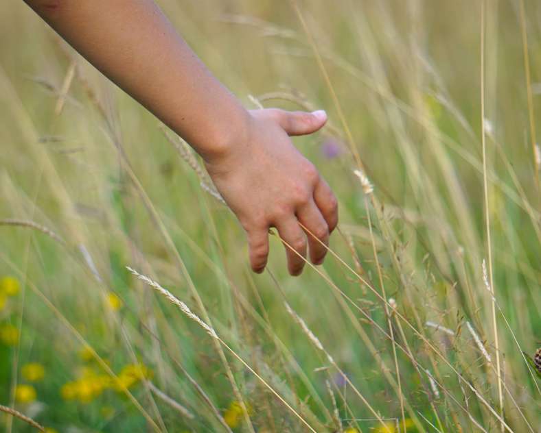 CTurpin_SarregueminesTourisme Bogs and Marshes