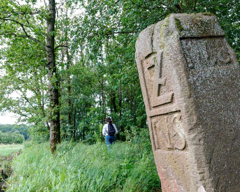 CTurpin_SarregueminesTourisme The Langenberg
