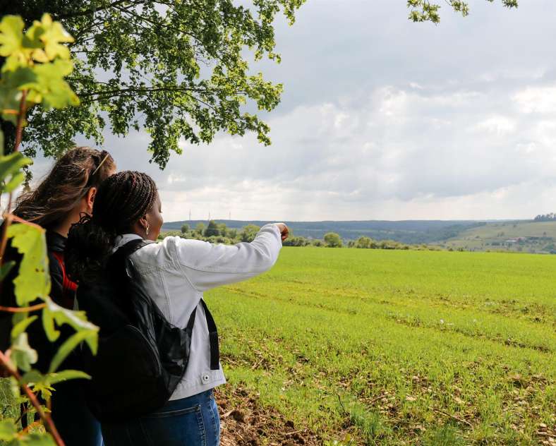 CTurpin_SarregueminesTourisme The Langenberg