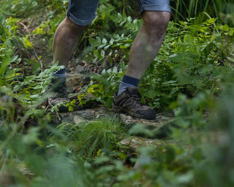 Alex Fabing Production Wash House Trail