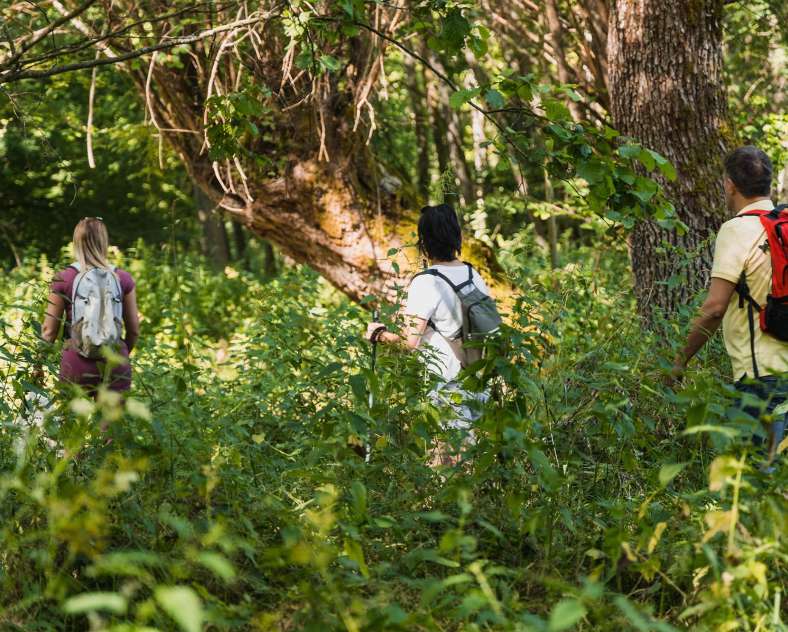 Alex Fabing Production Wash House Trail