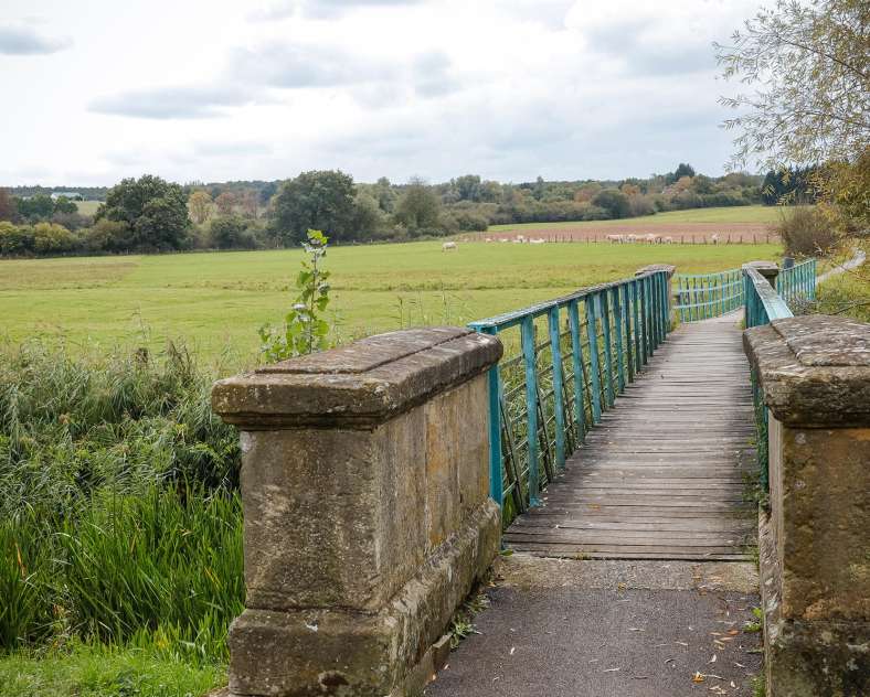 CTurpin_SarregueminesTourisme The Hamann Oak