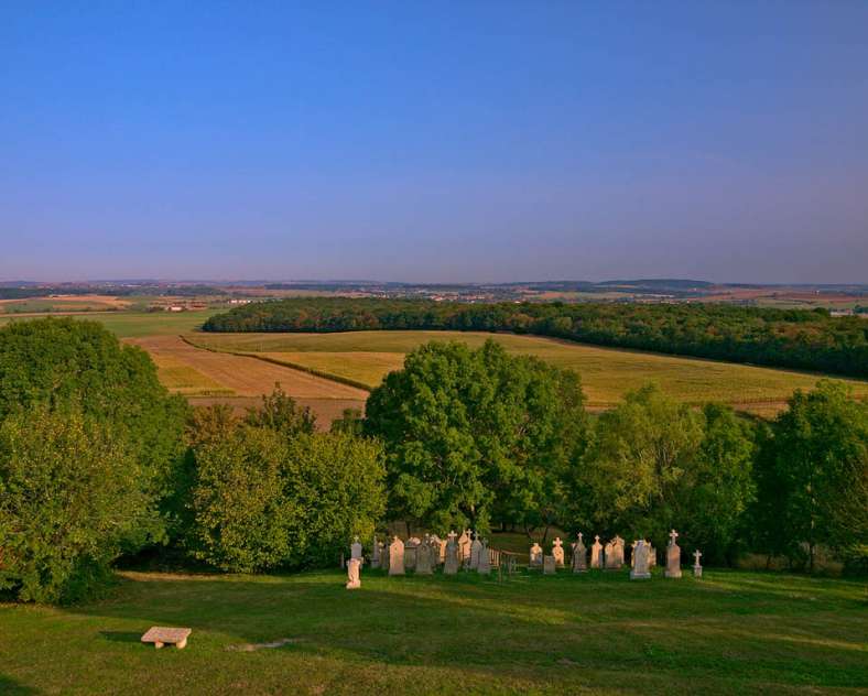 Moselle Attractivité Autour de l'Albe et de la Rose
